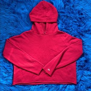 ALO Hoodie Sweatshirt